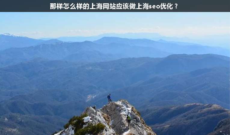那樣怎么樣的上海網(wǎng)站應該做上海seo優(yōu)化？