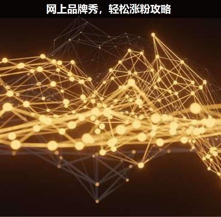 網(wǎng)上品牌秀，輕松漲粉攻略