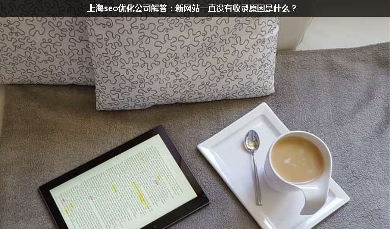 上海seo優(yōu)化公司解答：新網(wǎng)站一直沒(méi)有收錄原因是什么？